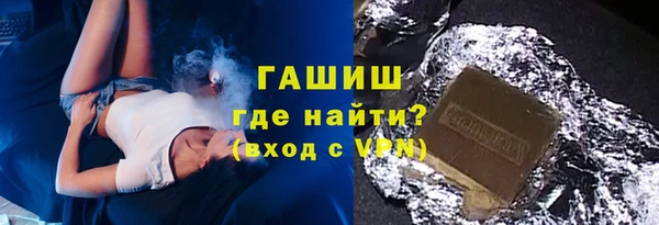 индика Кинешма
