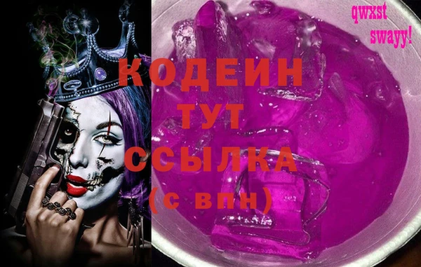 индика Кинешма