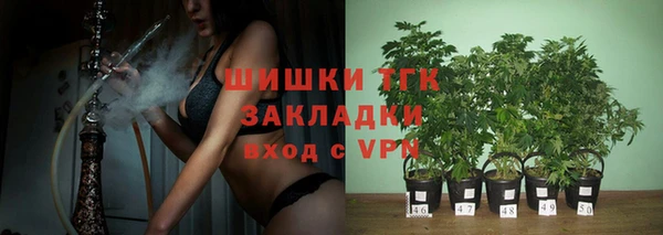 индика Кинешма