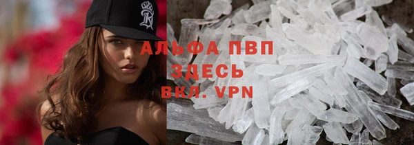 индика Кинешма