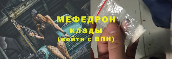 индика Кинешма