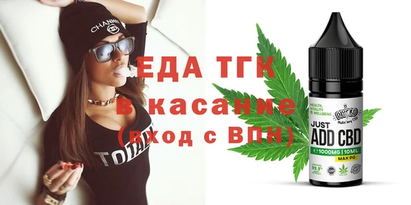 индика Кинешма