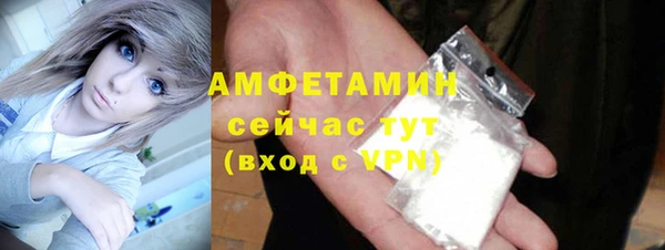 индика Кинешма