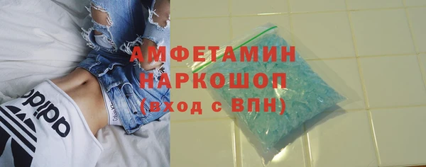 индика Кинешма