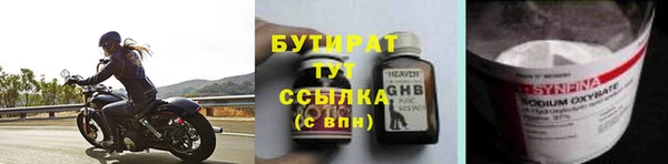 индика Кинешма