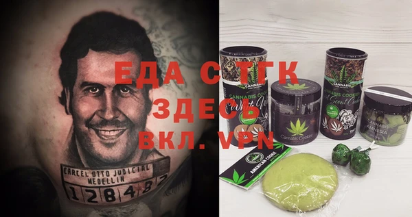 индика Кинешма